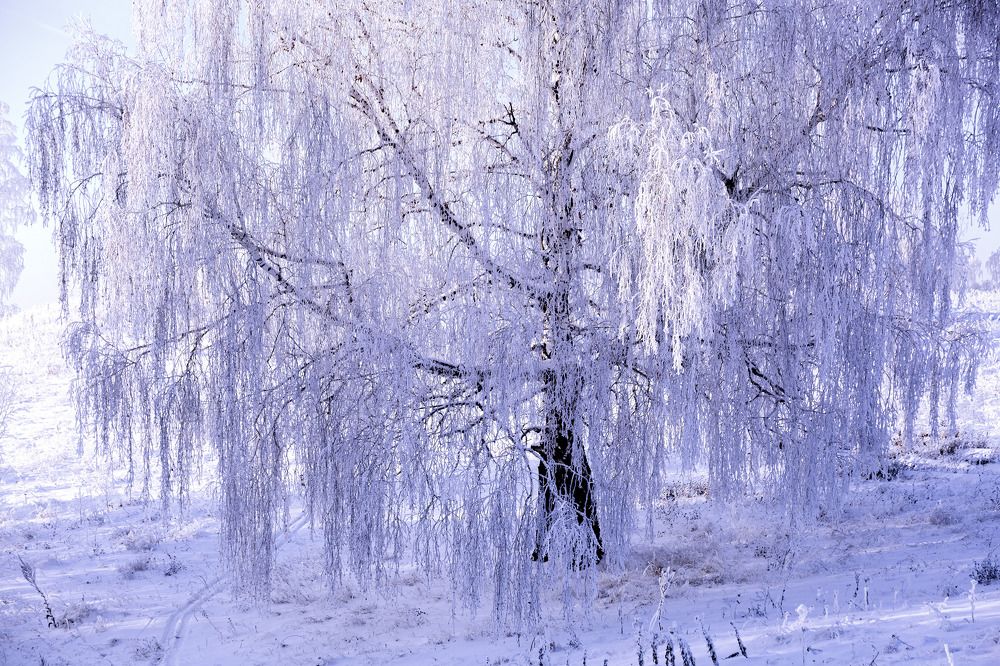 Фотография автора Рамиль Фаттахов