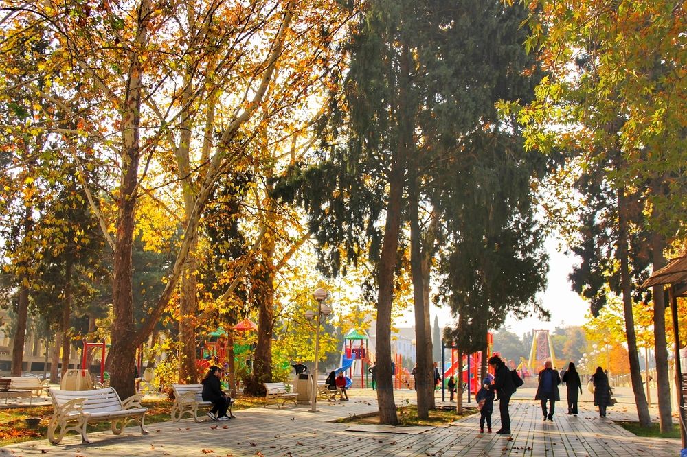 В осеннем парке...