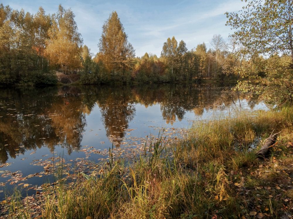 Отражение осени