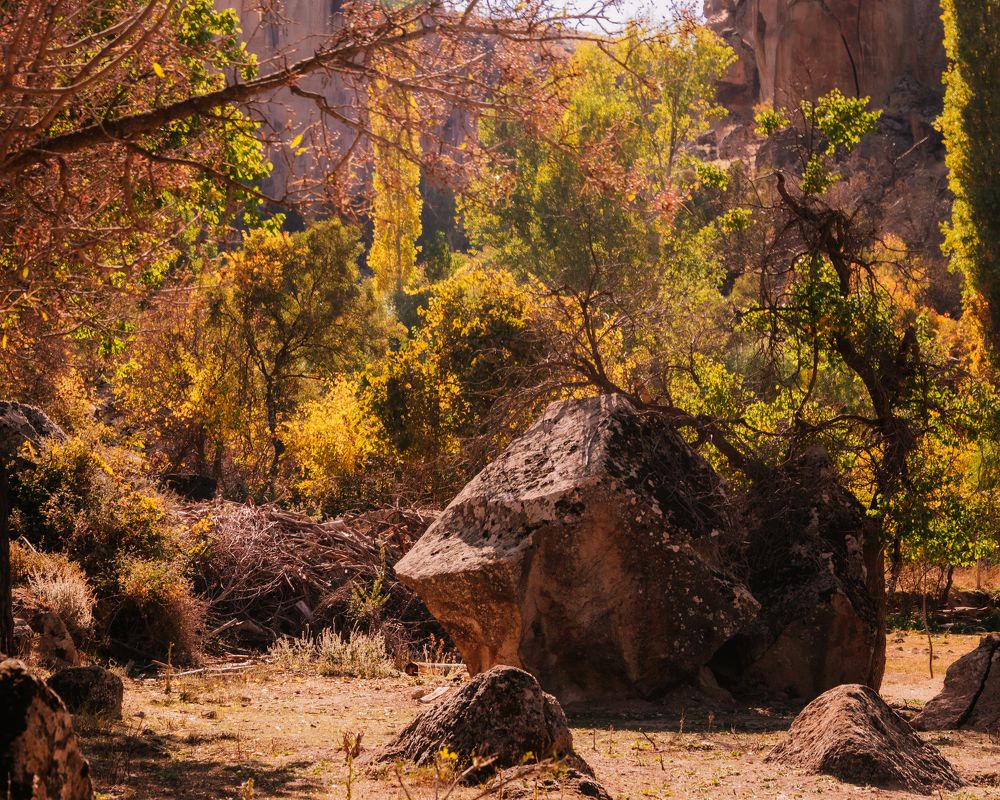 Photograph by  Яна