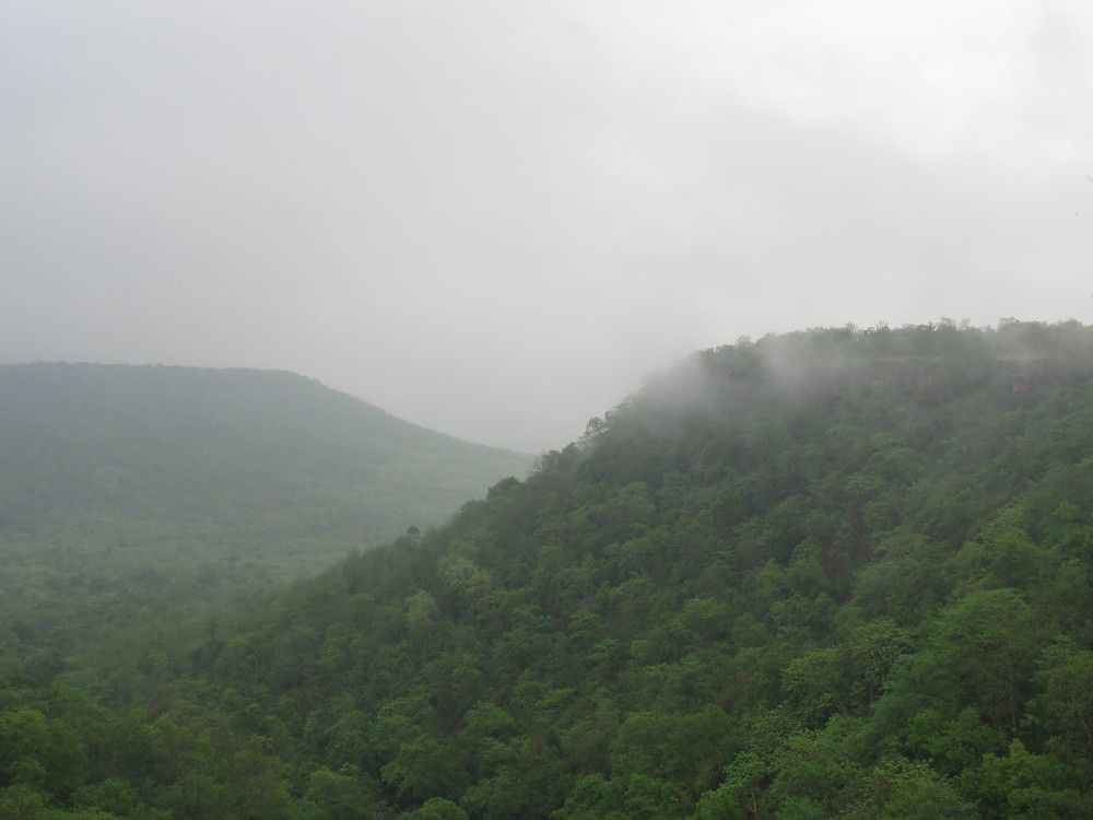 Foggy morning close to Hinauta Gorge