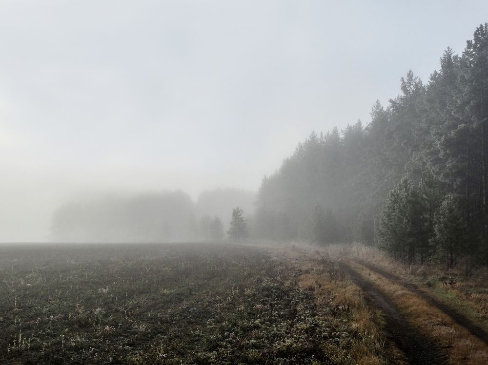 Photograph by Александр Андриянов