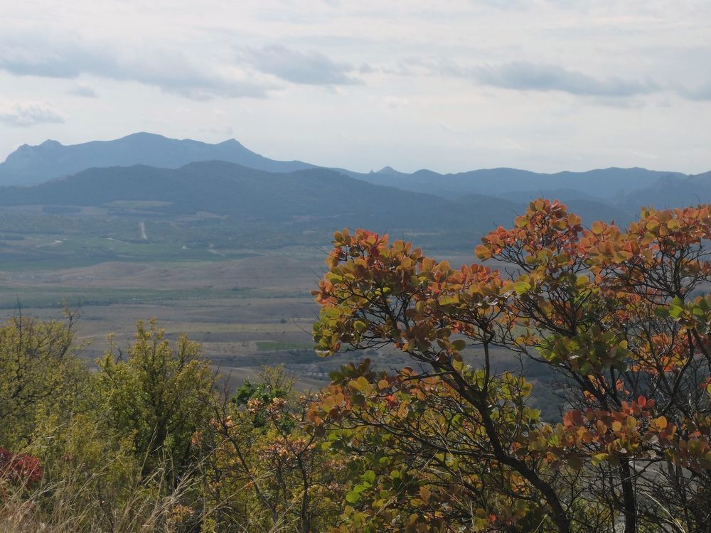 Photograph by Ираида Стародубцева