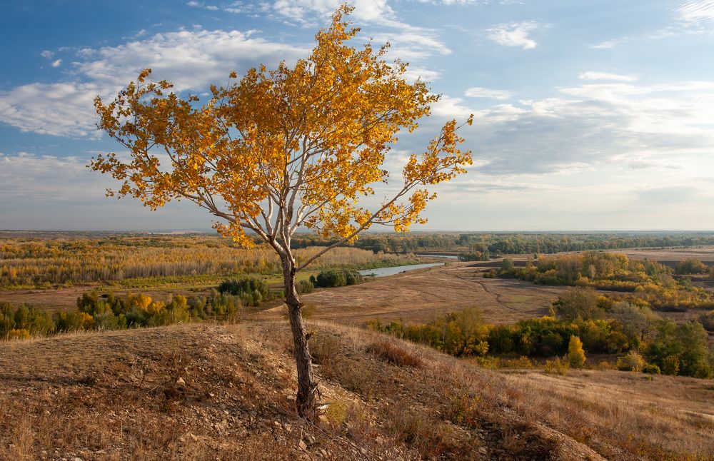 Photograph by IGOR BAITUGANOV