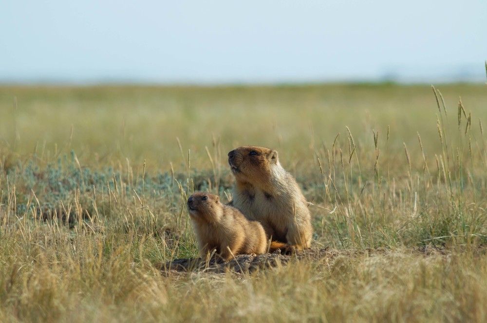 Photograph by Андрей Красников