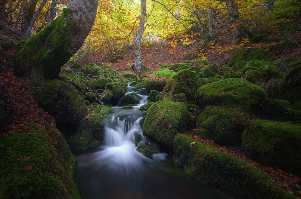 Photograph by Luis Martínez