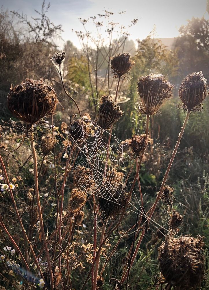 Photograph by Наталья Гладкая