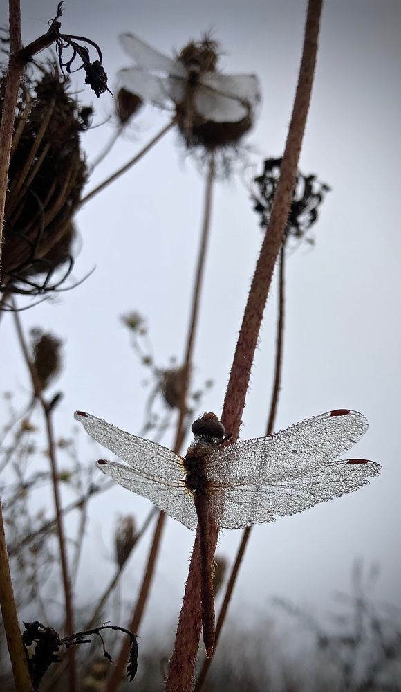 Photograph by Наталья Гладкая