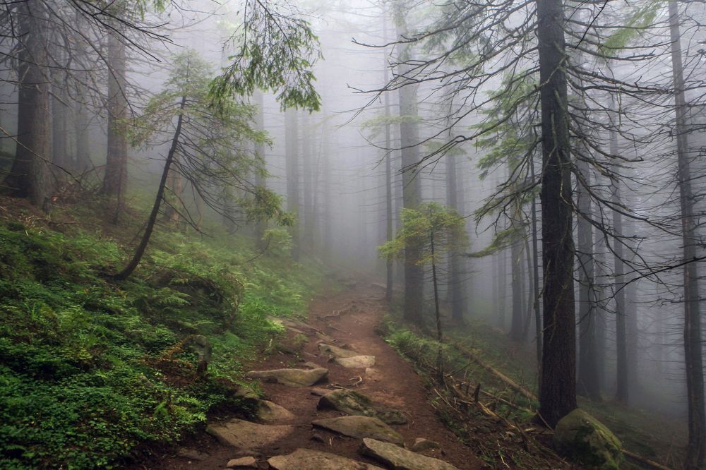 Фотография автора Милокост Алексей