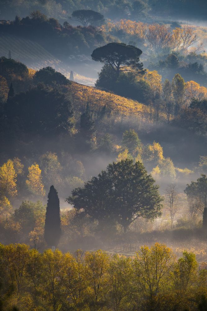 Photograph by Dzintra Zvagina