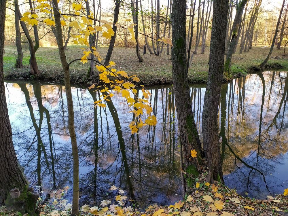 Photograph by Людмила Муравьева
