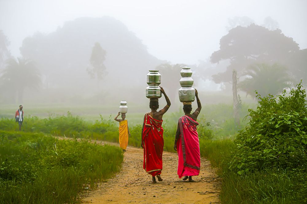 Photograph by BHAGYA D