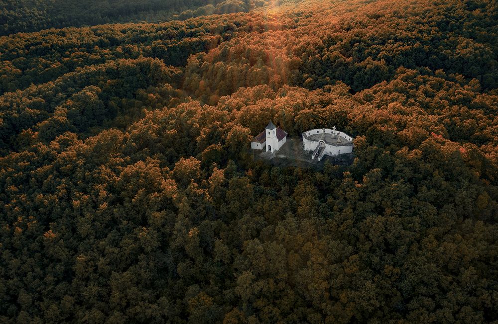 Photograph by Dóra Csörögi