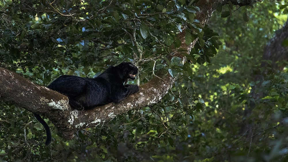 Photograph by BHAGYA D