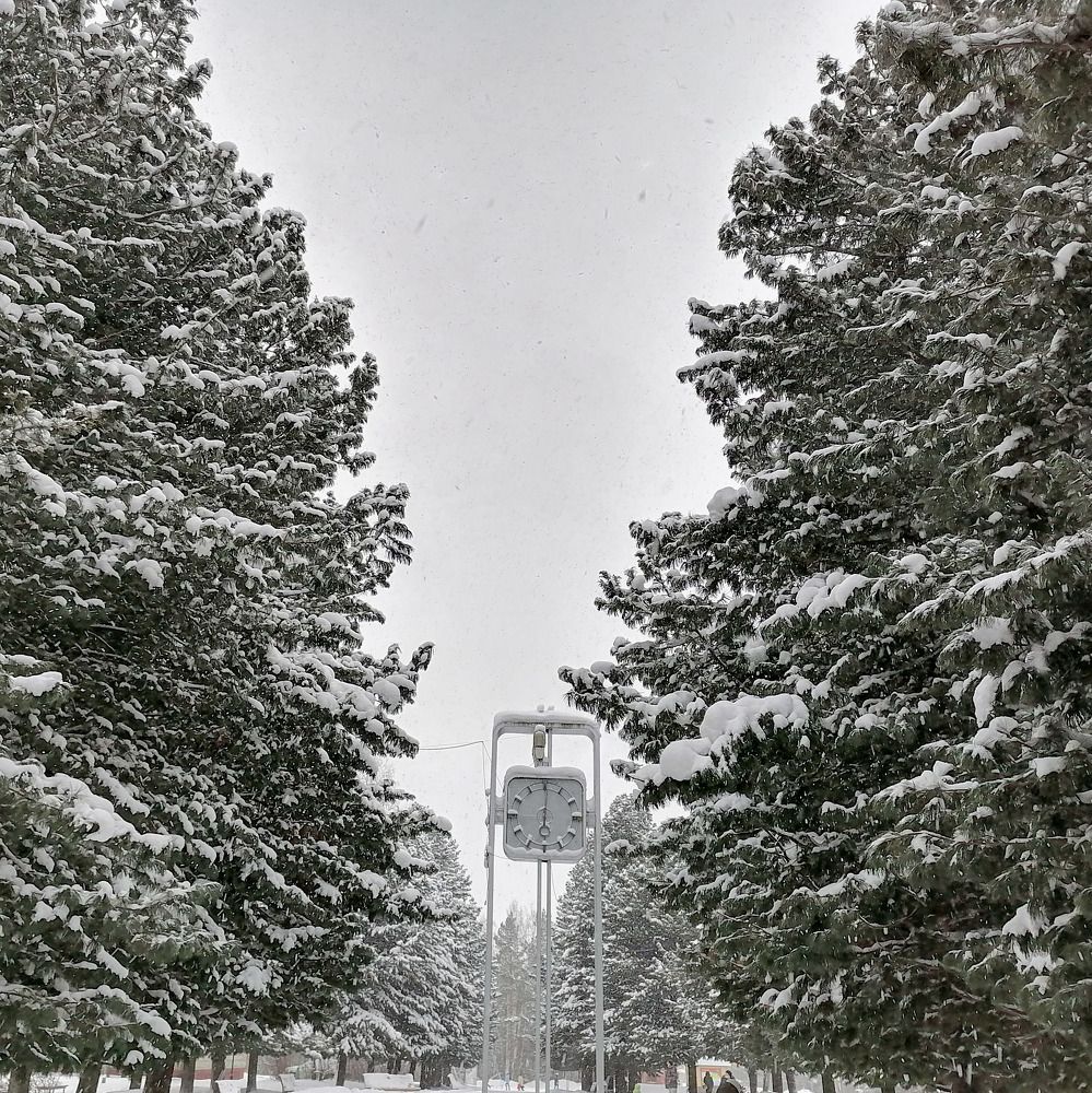 Photograph by Lamart HM