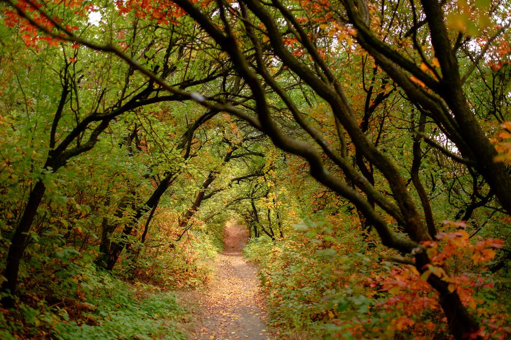 Photograph by Oksana Ermoshenko