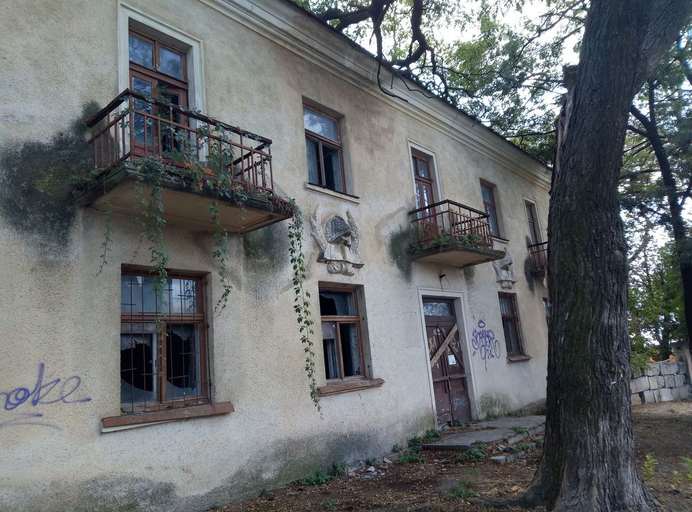 Photo #6718590
