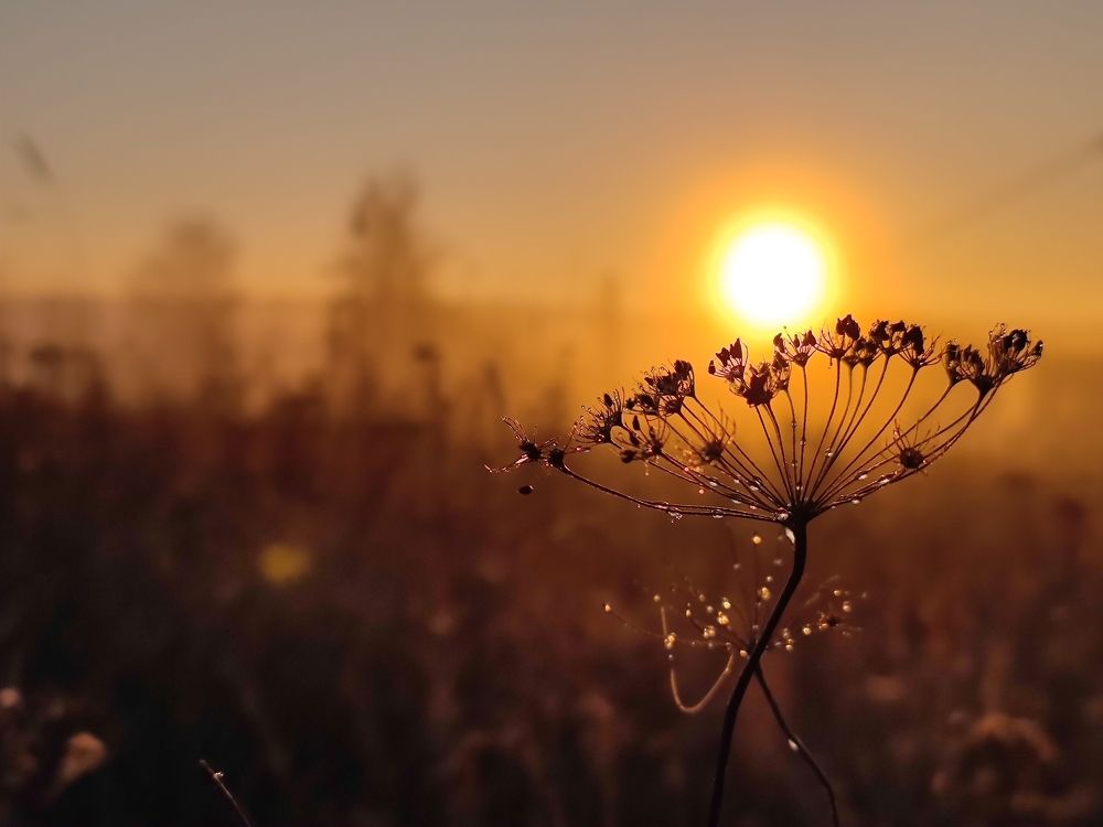 Photograph by Екатерина Харитонова