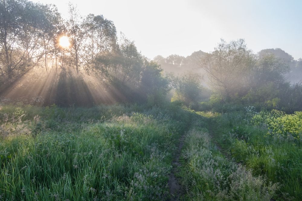 Photograph by Илья Костин