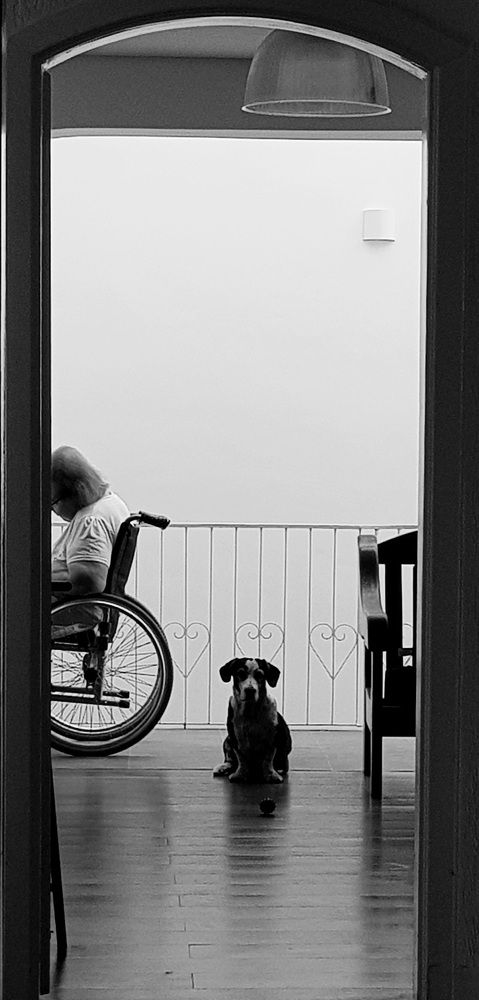 Photograph by Christian Yunes