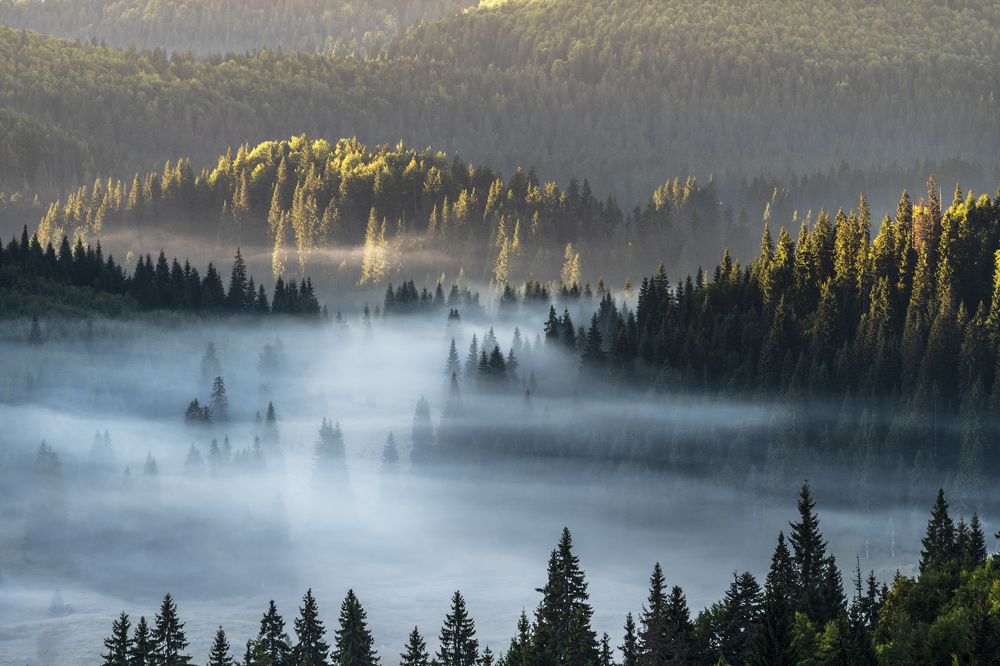 Photograph by Gabriela Vochescu