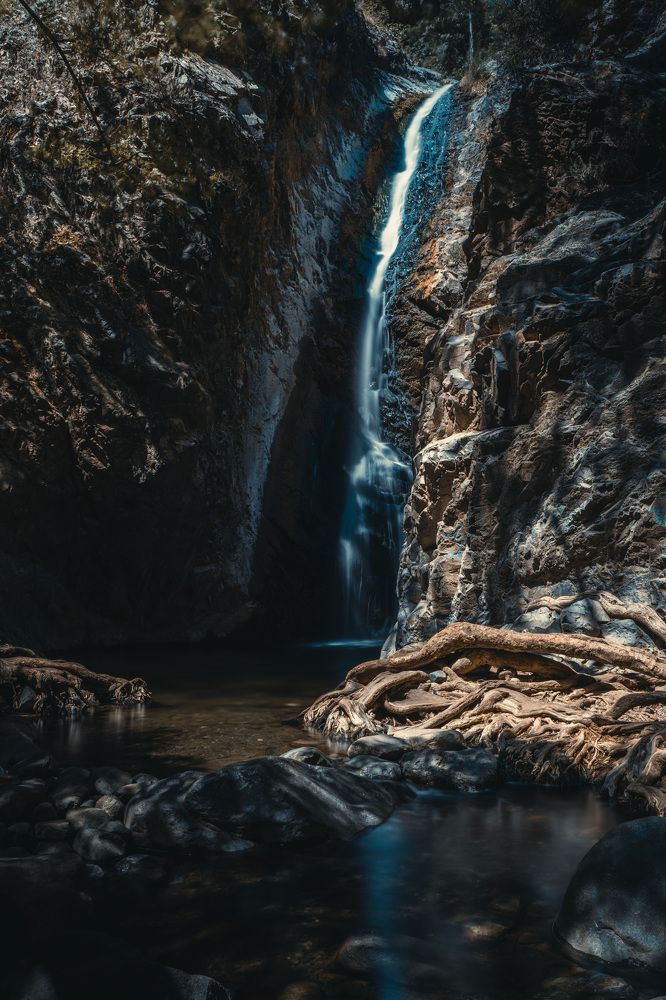 Photograph by Алексей Молотов