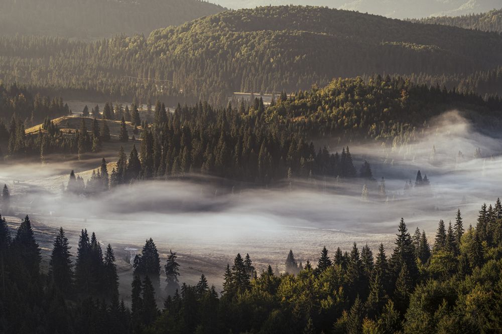 Photograph by Gabriela Vochescu