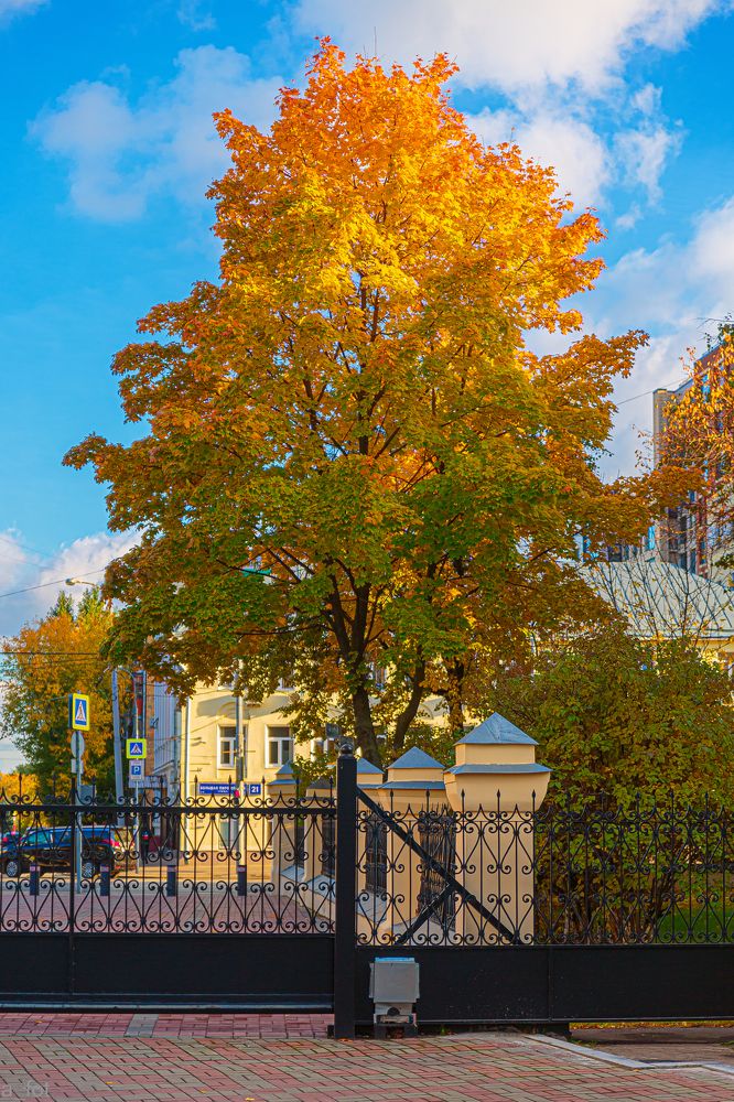 Photograph by Александр Фот