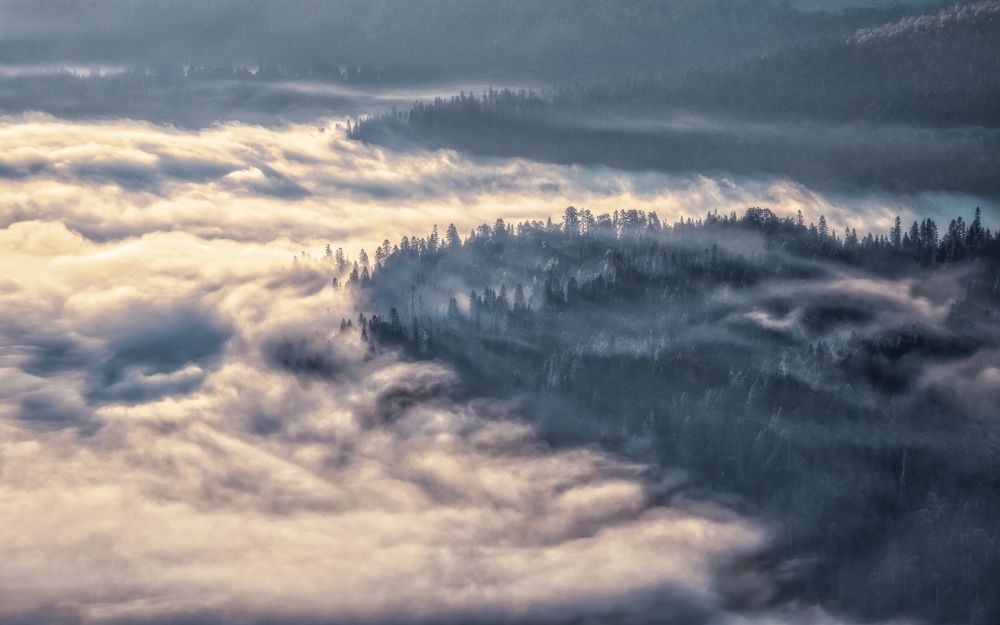 На берегах рассветного тумана