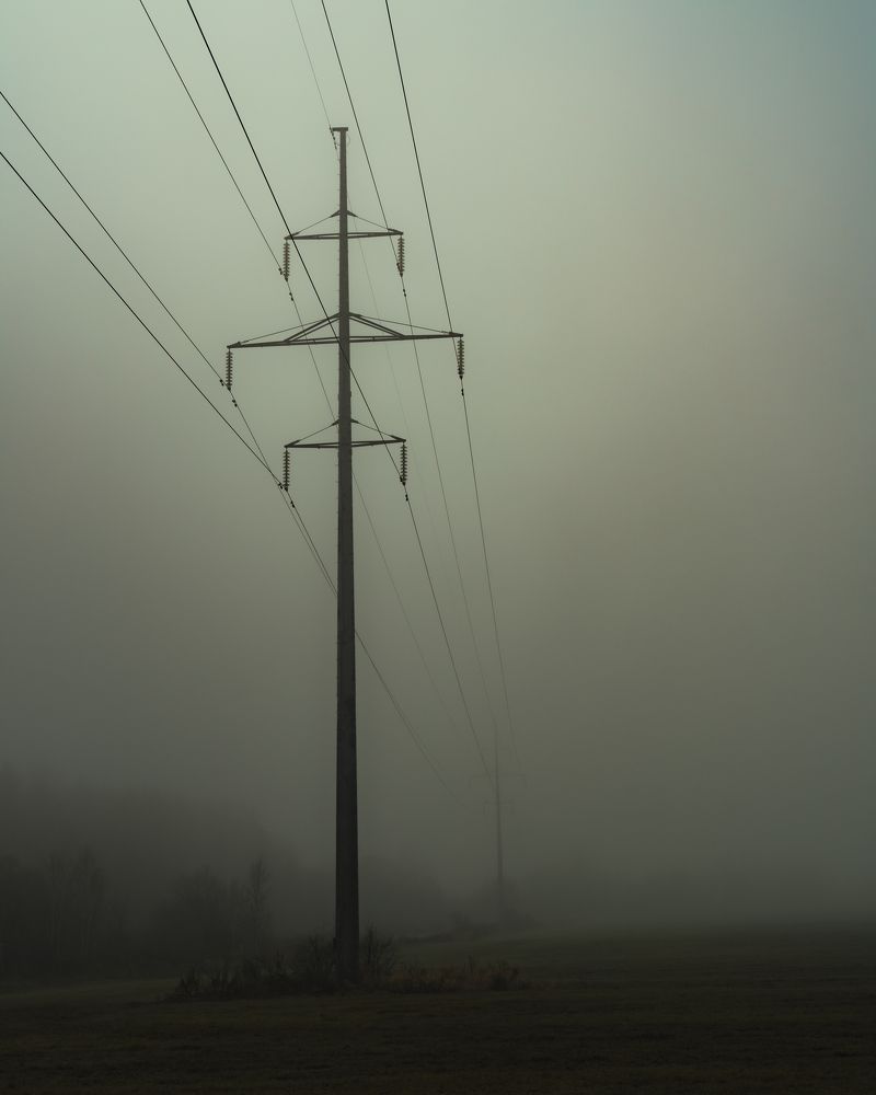 Photograph by Алексей Молотов