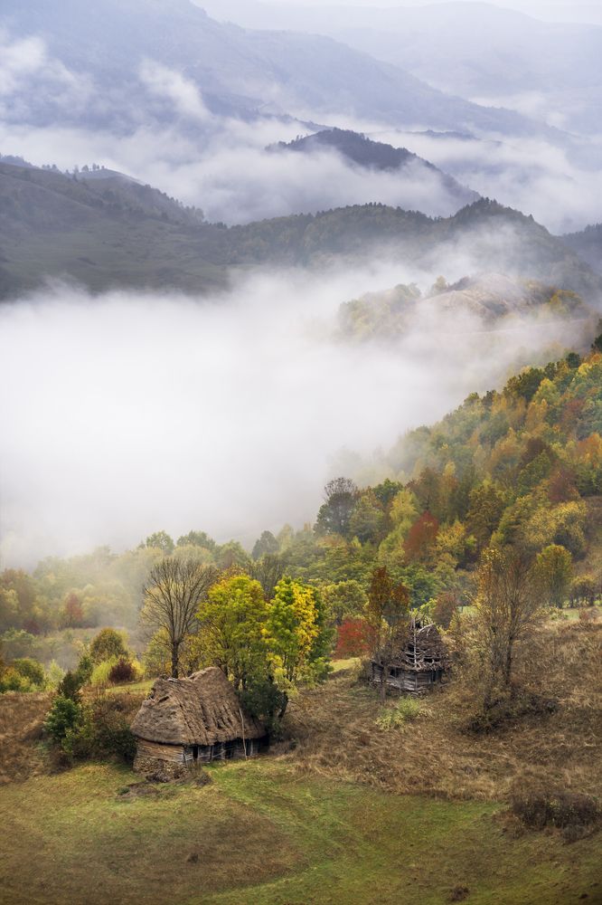 Photograph by Gabriela Vochescu