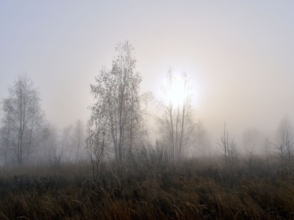 Солнце в тумане.