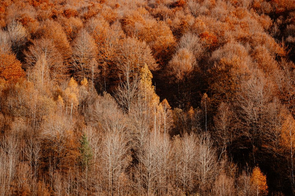 Photograph by Haris Mulaosmanovic