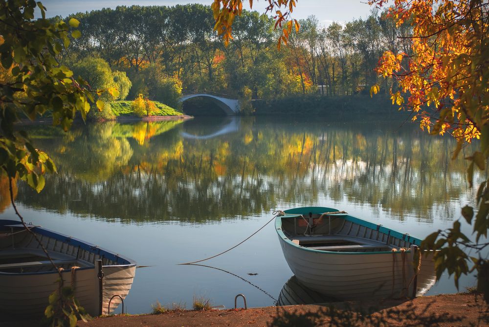 Фотография автора Светлана Новикова