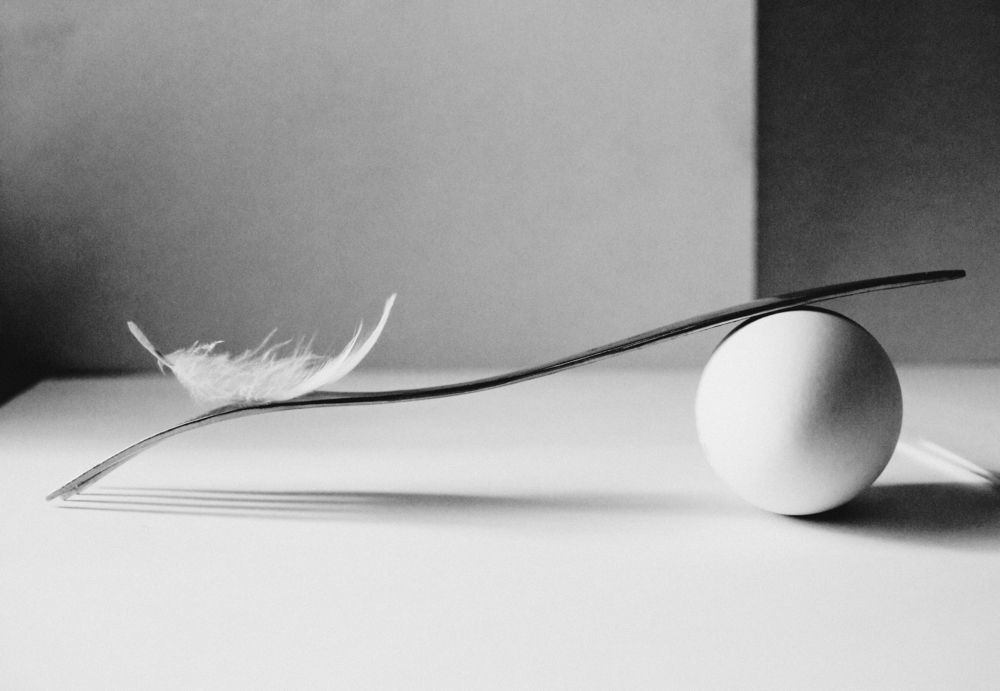 Фотография автора KattyFox