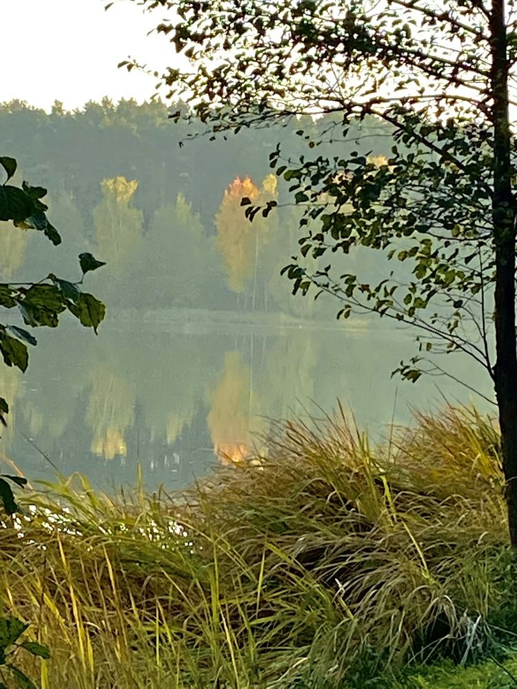 Photograph by Светлана