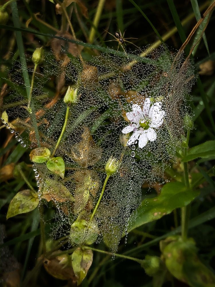 Photograph by Ирина Назарова