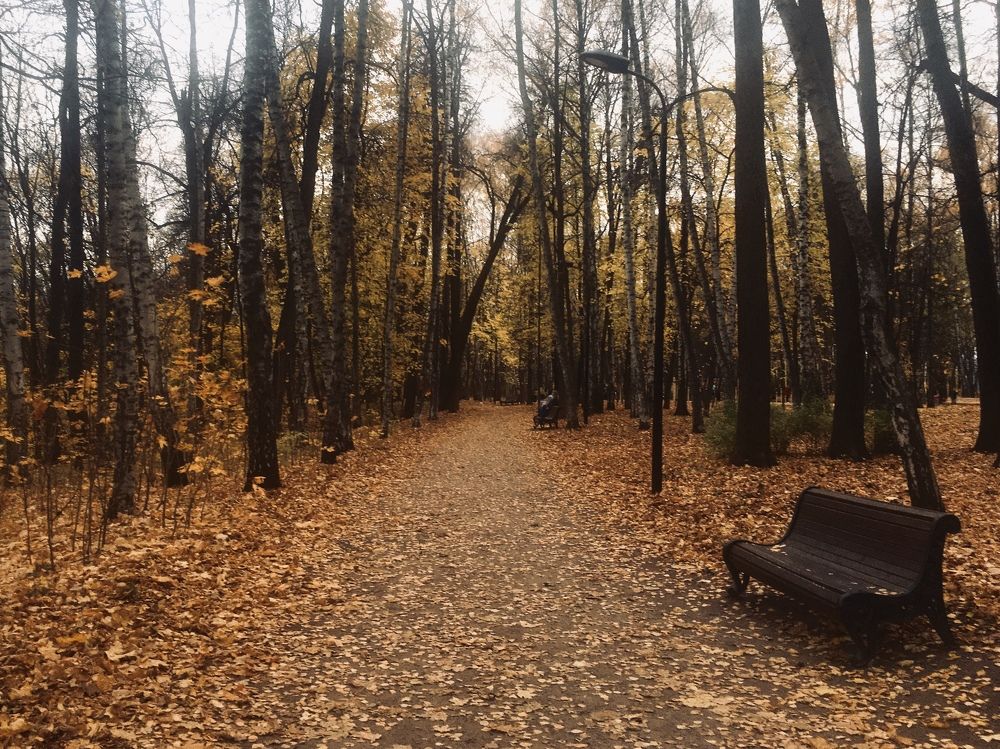 Фотография автора Ольга Горюнова