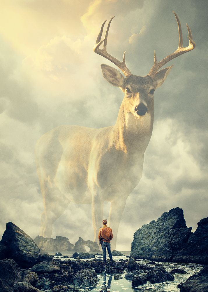 Majestic Spirit Animal