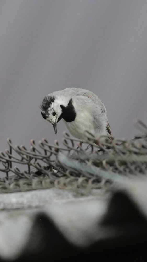 Photograph by Oksana Shchegolkova