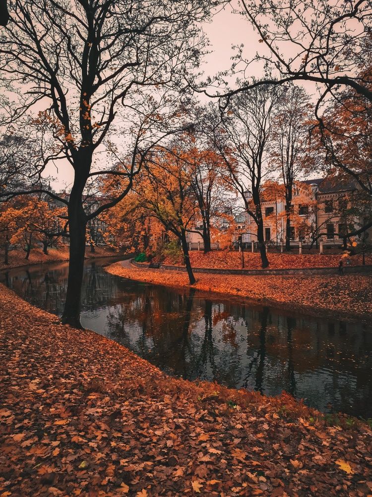 Photograph by Дарья Вега