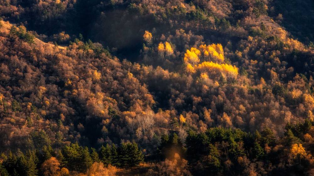 Photograph by  Valius