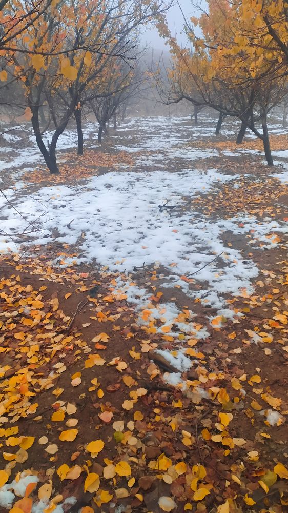 Photograph by ali jafari