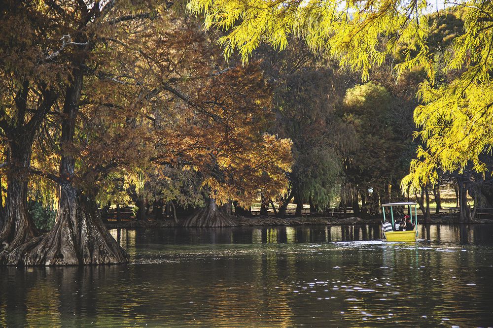 Photograph by paulina sevilla