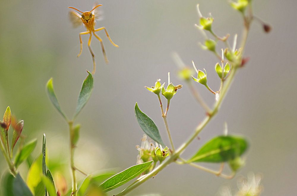 JUST BEFORE IT STRUCK