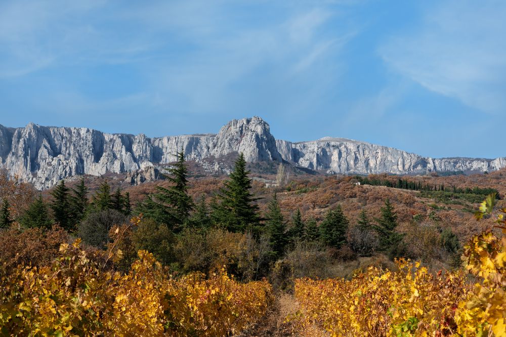 Photograph by Ирина Ульянова