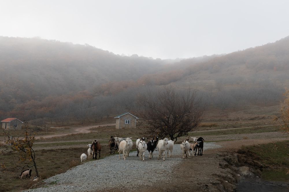 Photograph by Ирина Ульянова