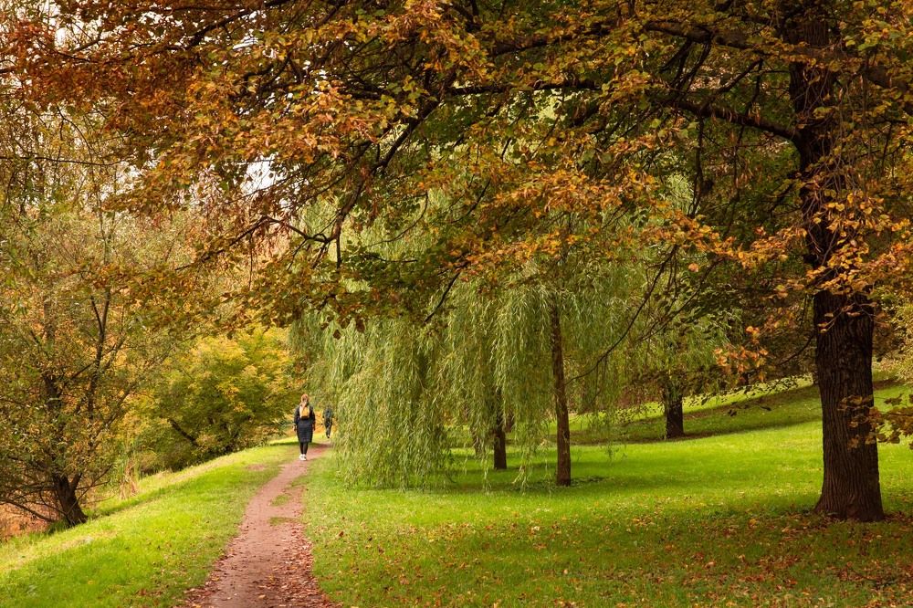 Photograph by Ирина Назарова