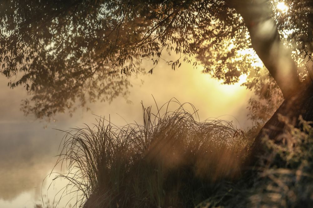 Photograph by Sergey Uskov