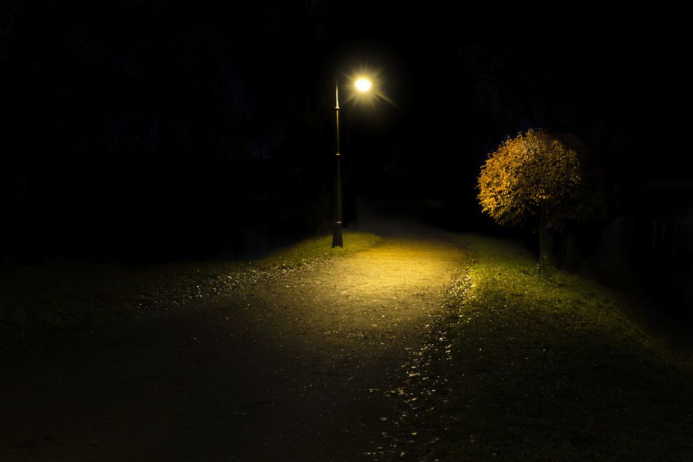 Photograph by Денис Боровских